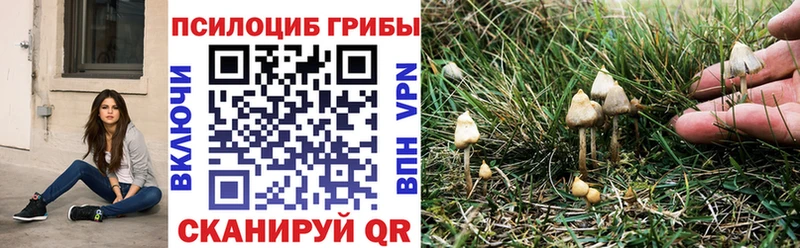 Галлюциногенные грибы мухоморы  это формула  Тобольск 